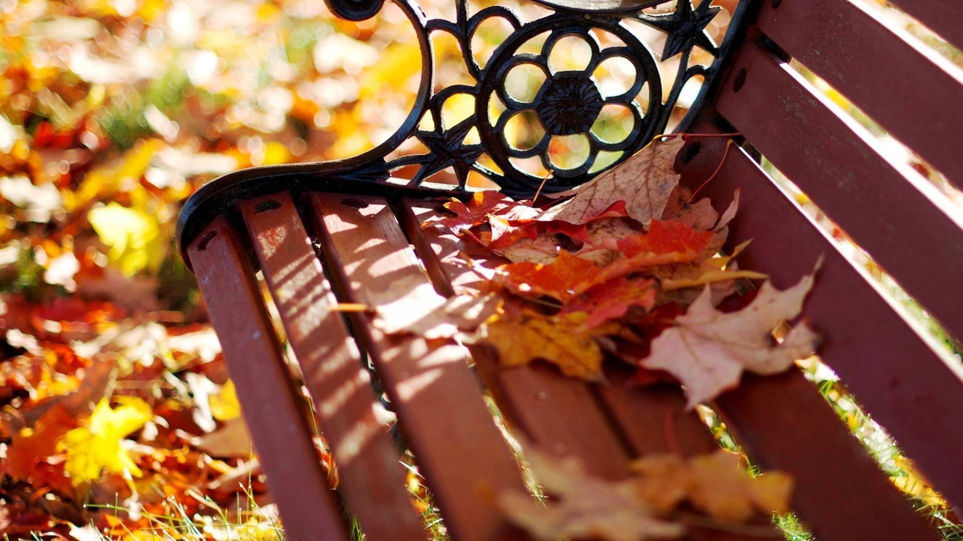 blätter herbst lebensmittel blatt schokolade süßigkeiten desktop