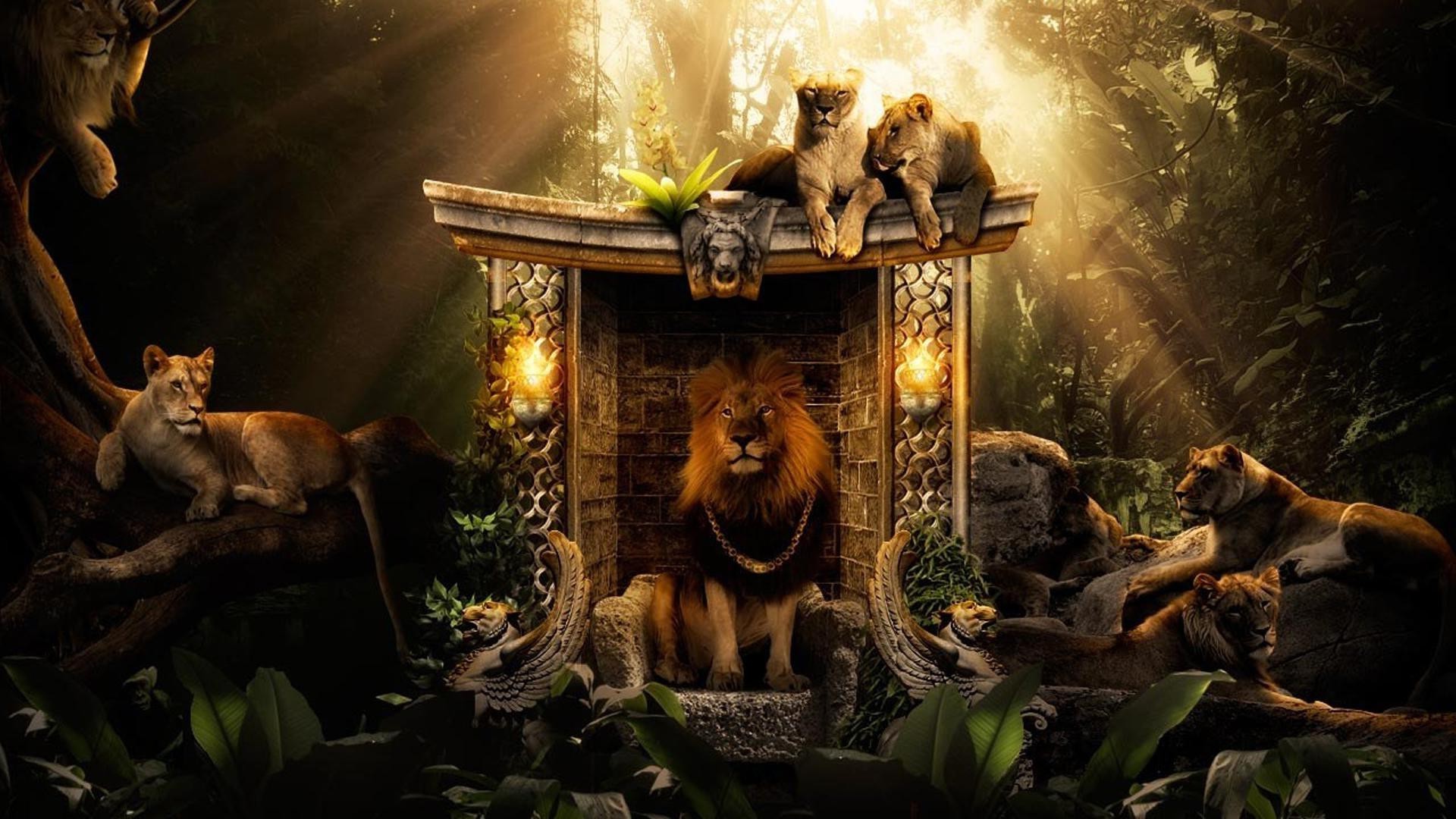 львы кошка млекопитающее два искусство лев один древесины собака дерево обезьяна живопись джунгли