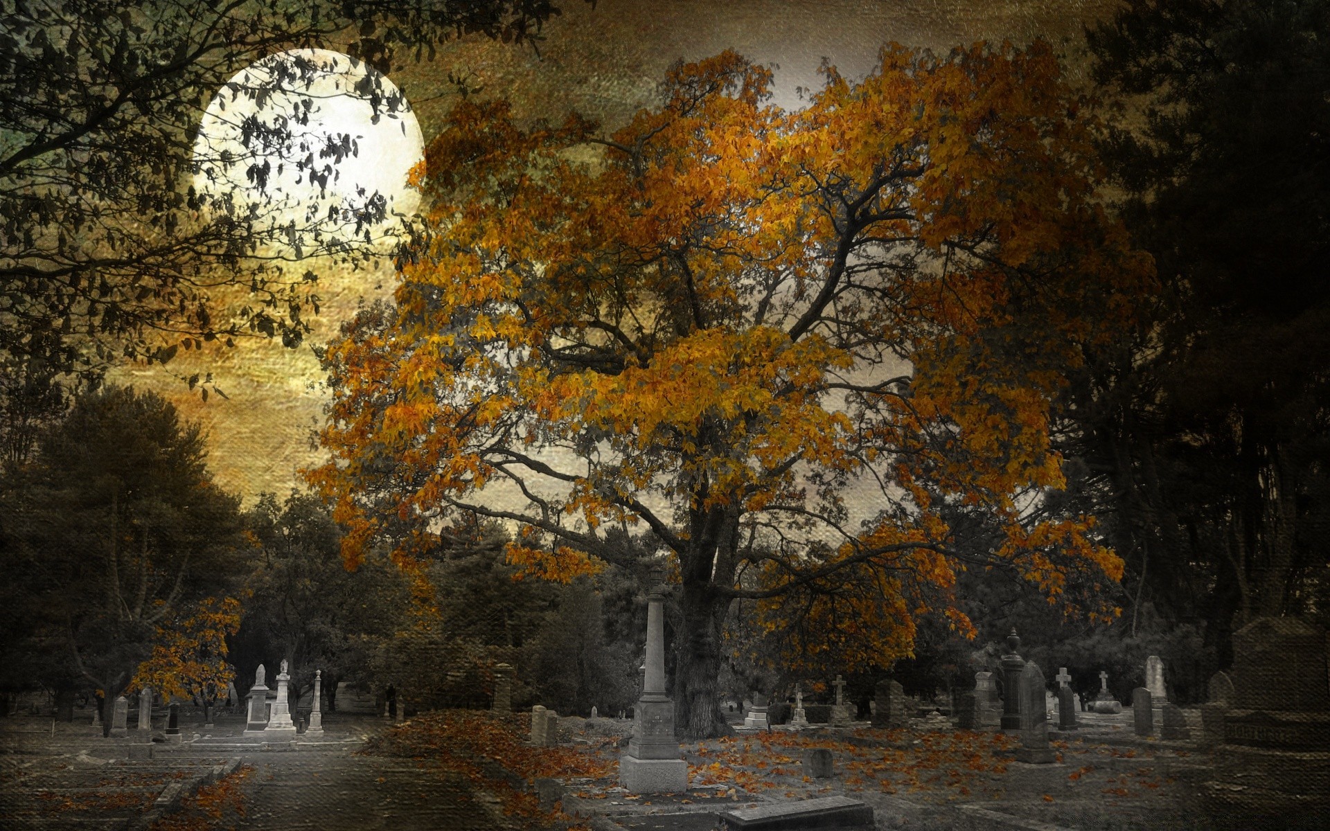 halloween otoño árbol hoja paisaje naturaleza al aire libre madera parque temporada arce escénico amanecer