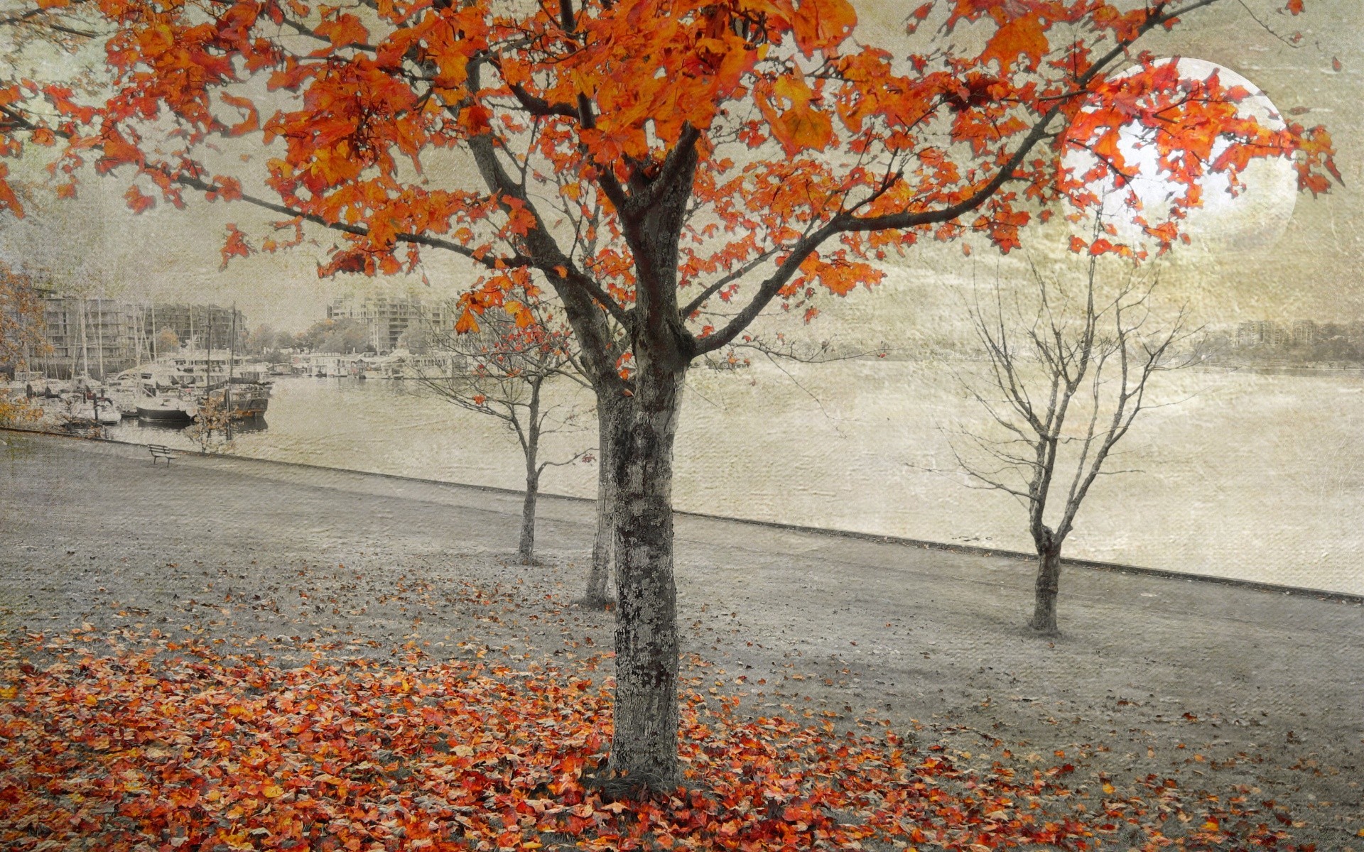 halloween fall tree leaf landscape season maple branch park nature color outdoors scenic scene environment wood