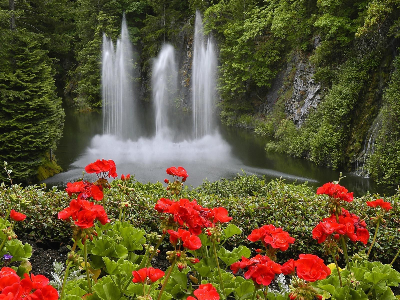 paysage nature feuille fleur eau paysage été à l extérieur parc rivière jardin cascade flore