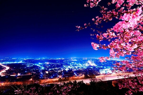 Blick auf die Nachtstadt mit Sakura