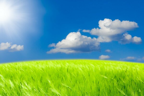 Meadows and fields with snow-white clouds