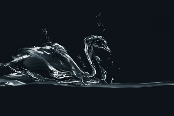 Abstraction and graphics, water movement splash