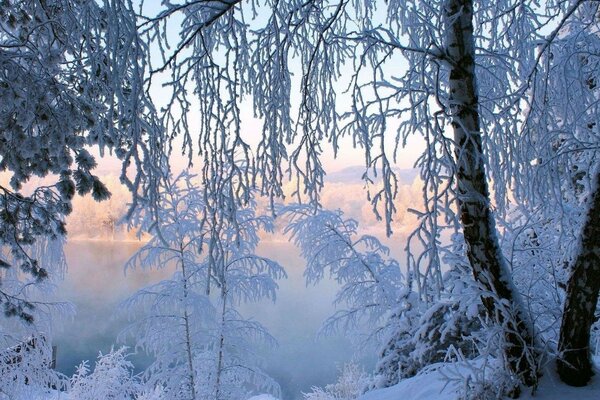 Ein Wintermärchen wunderbarer Natur