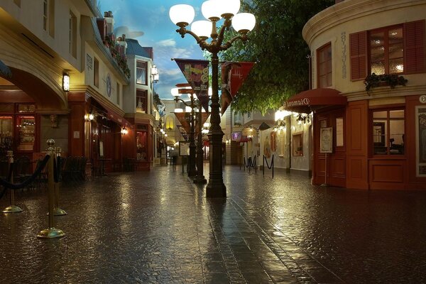 Evening street after the rain