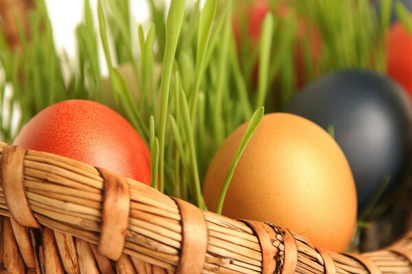 Easter basket with painted eggs on juicy green grass