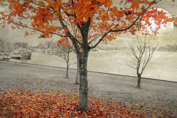 Autumn leaf fall Halloween landscape