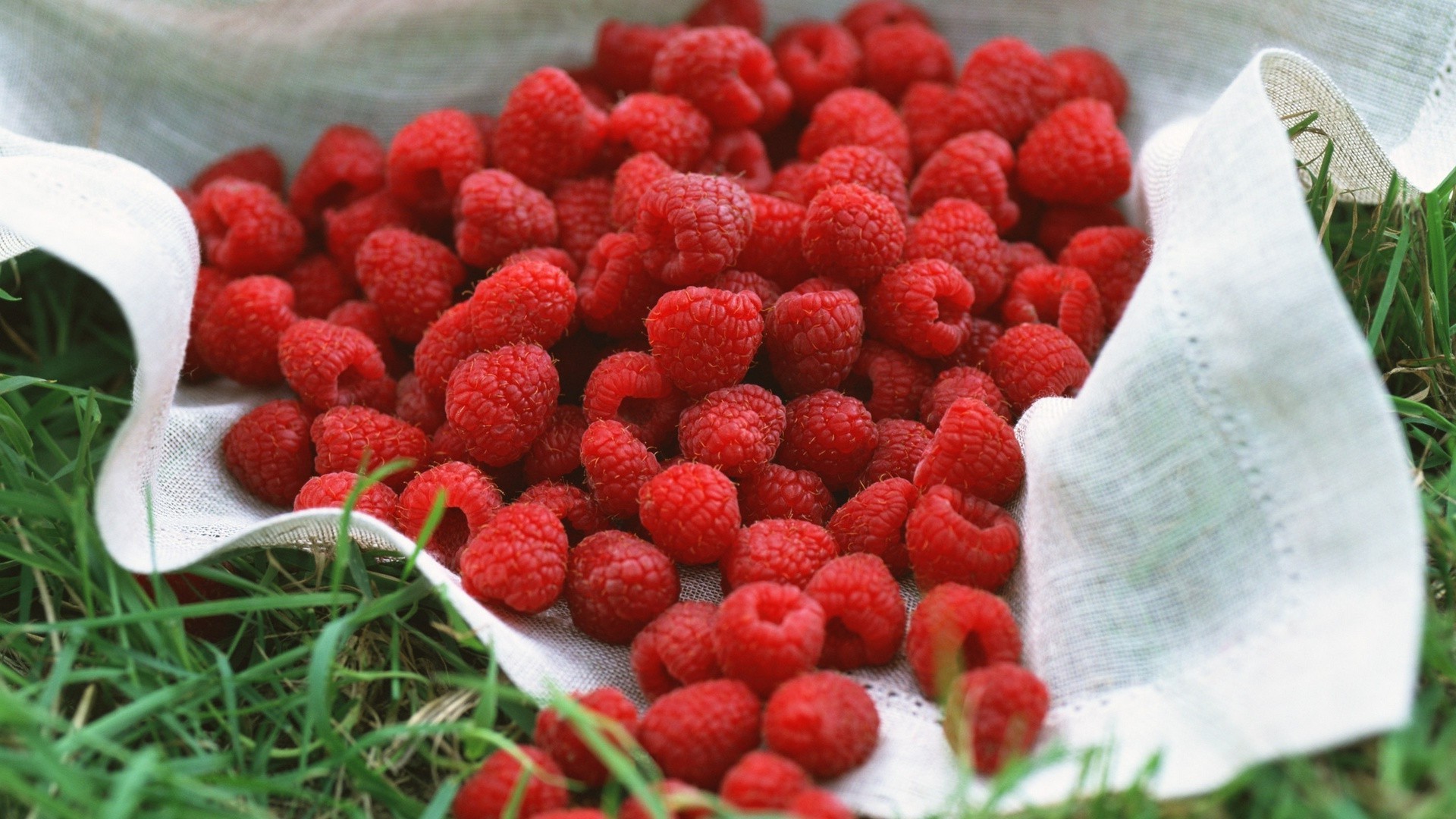 beeren lebensmittel obst beere süß himbeere gesund erdbeere diät lecker schüssel lecker erfrischung schließen frische epikur saftig gesundheit essen