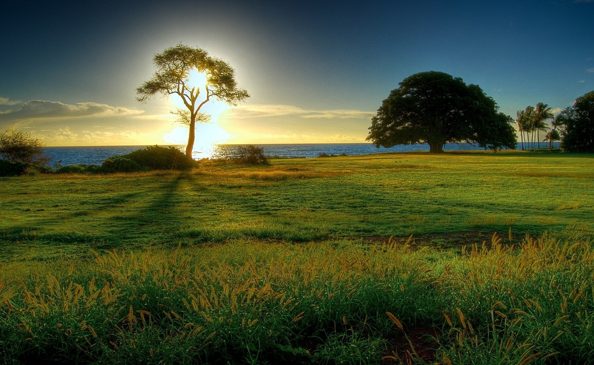 fields meadows and valleys landscape sunset nature dawn field grass sun sky tree agriculture rural outdoors countryside summer evening fair weather farm