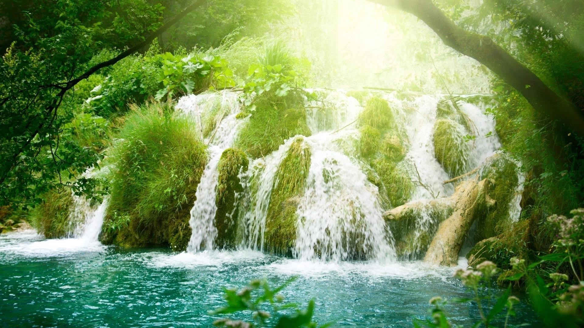 wasserfälle wasser natur wasserfall sommer im freien fluss blatt holz spritzen reisen nass tropisch landschaft kaskade medium fluss park rock wild