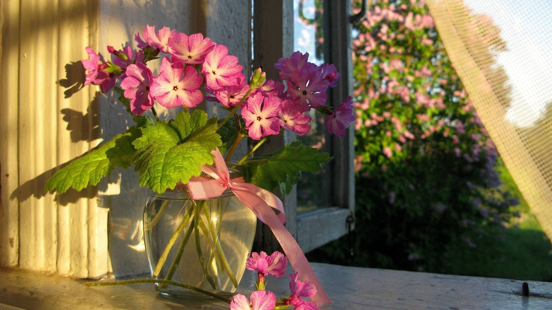 in vaso o in vaso fiore giardino estate natura flora foglia fiore all aperto floreale bouquet crescita rosa bel tempo vaso colore petalo decorazione vaso geranio