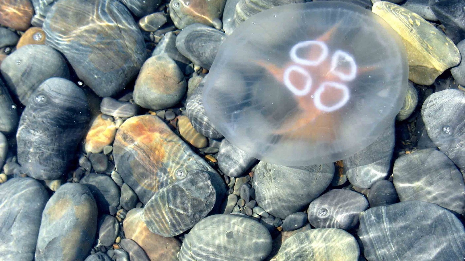 mare e oceano natura desktop acqua mare mare