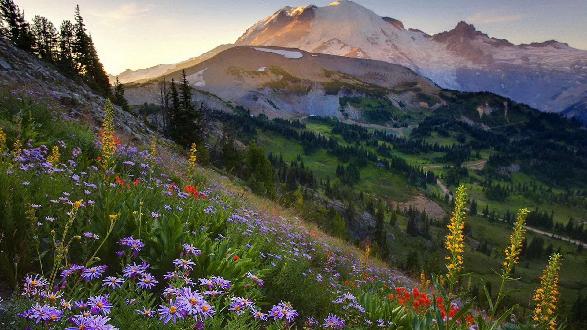 montagnes montagnes paysage nature fleur voyage à l extérieur scénique foin ciel été vallée neige herbe pic de montagne wildflower aube pâturages