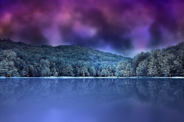 Bosque de invierno junto al lago