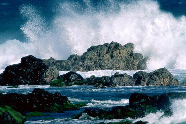 Mer. Récifs. L élément déchaîné