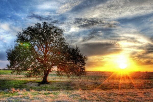 Landscape sunset in nature