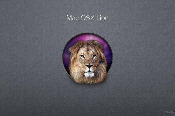 Mac OSX Lion marque