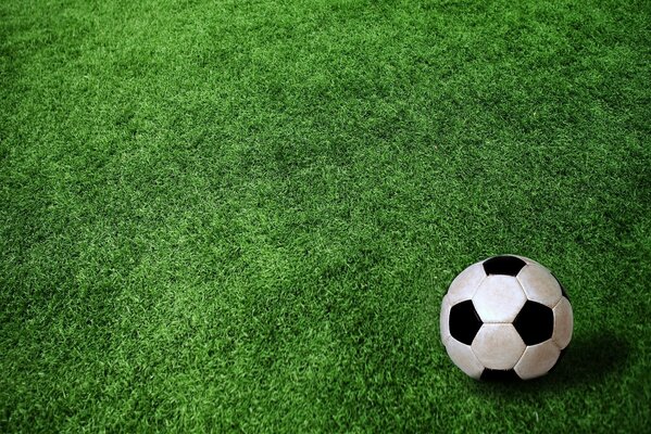 Balón de fútbol en el campo deportivo verde