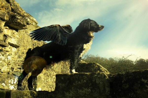 Animal magique avec de grandes ailes