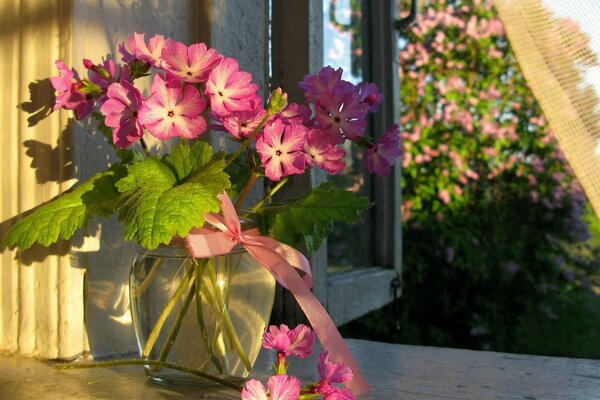 Rosa Blüten in einer Vase am Fenster