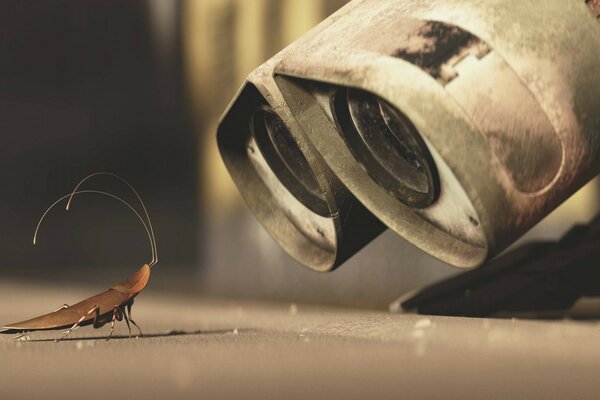 Robot VALLI observa con interés el insecto