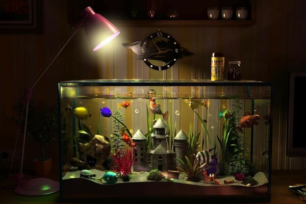 Home aquarium with goldfish