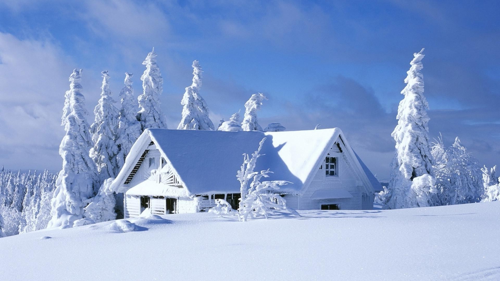 invierno nieve frío hielo congelado helado cabaña escarcha casa montaña bungalow paisaje madera tiempo chalet escénico