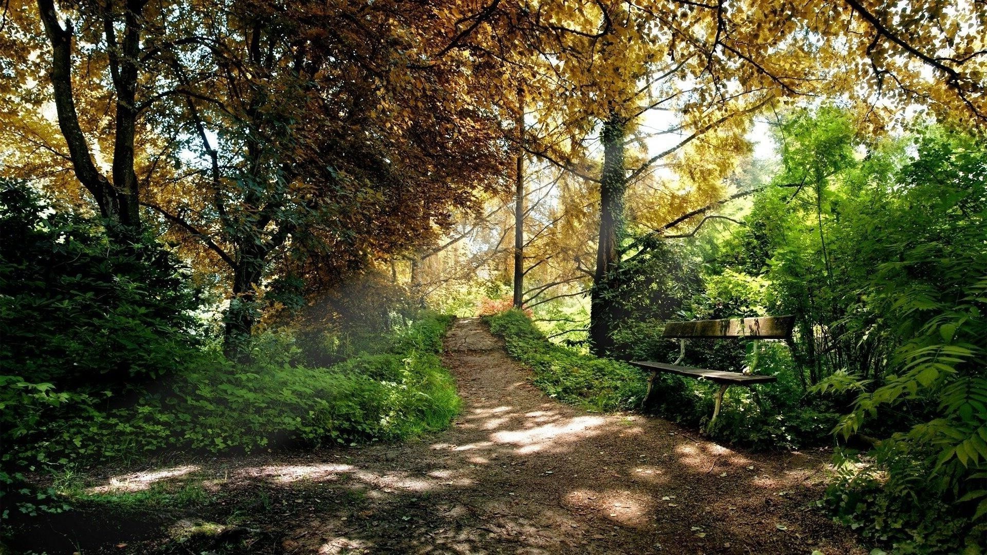 parki krajobraz drzewo liść natura drewno droga przewodnik park ścieżka jesień środa dobra pogoda trawa na zewnątrz wieś sezon wieś lato ogród