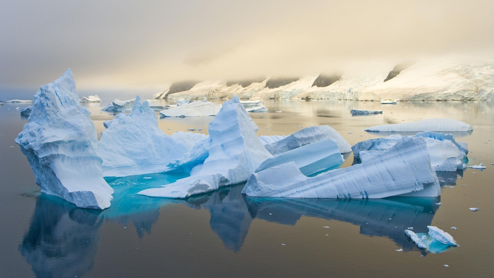 ghiaccio iceberg gelido acqua nuoto viaggi fusione cambiamento climatico neve ghiacciaio freddo oceano groenlandia inverno mare