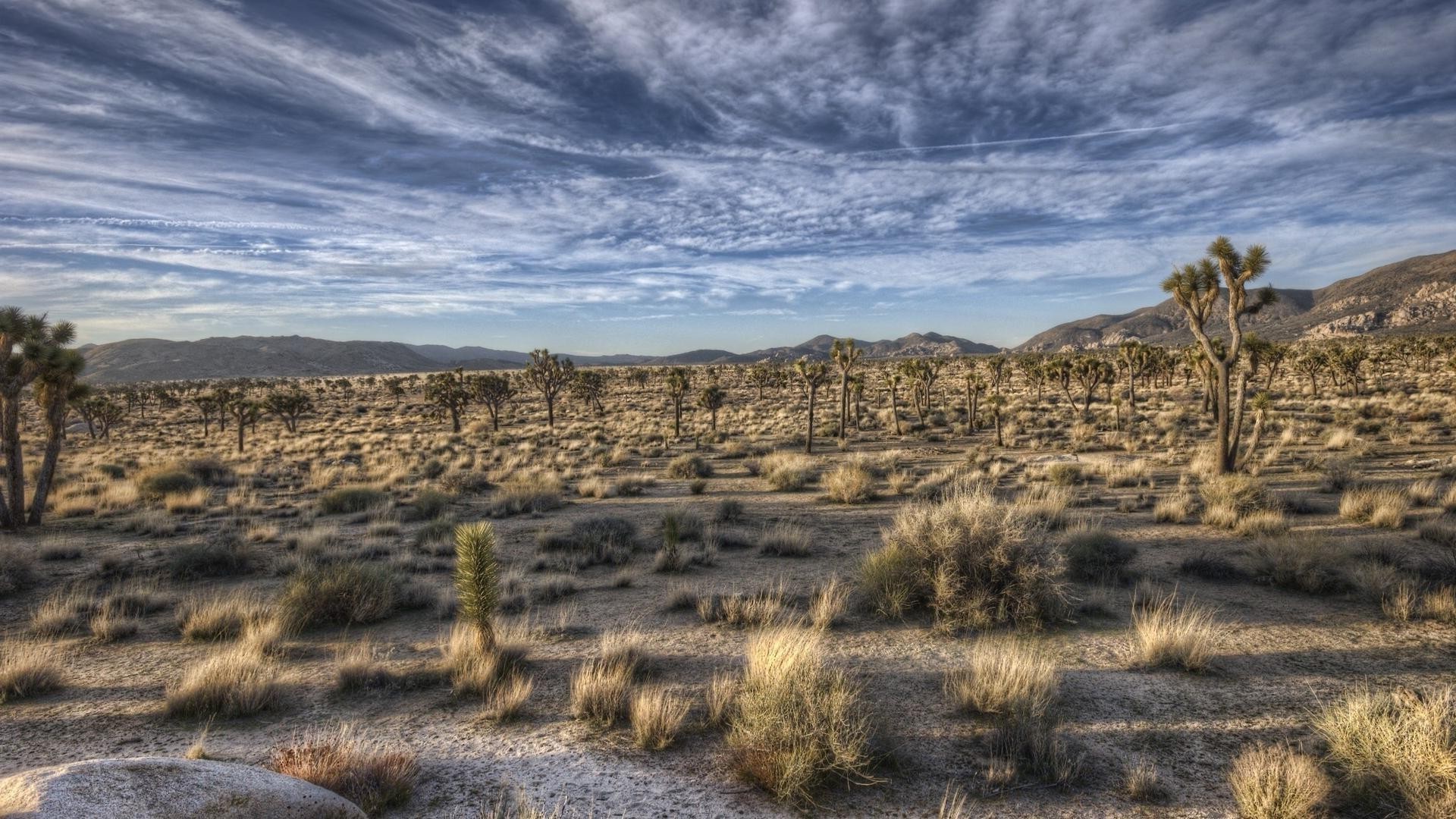 desert landscape travel sky outdoors scenic dry nature arid mountain rock barren