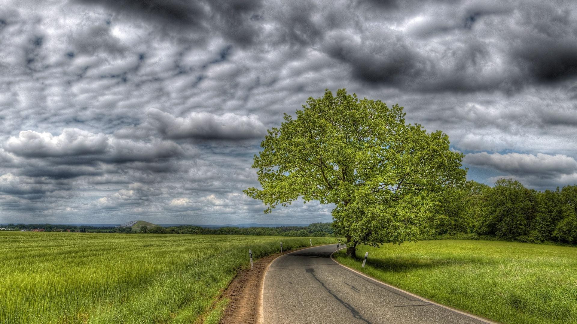 summer landscape rural nature road countryside sky grass cloud tree cloudy storm field guidance outdoors horizon perspective hayfield weather