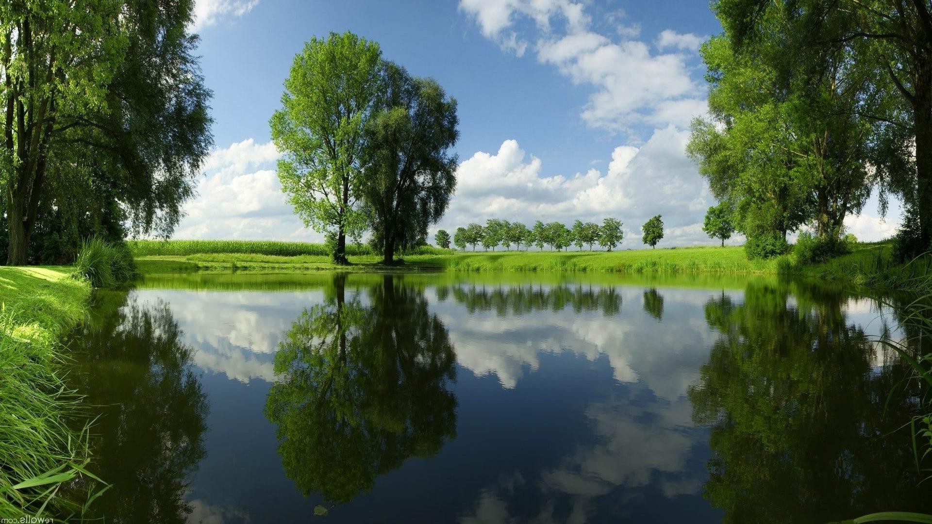 річки ставки і струмки ставків і струмків води природа відображення дерево пейзаж озеро на відкритому повітрі річка літо деревини басейн трава лист небо сільських ідилія середовища гарну погоду холоднокровність