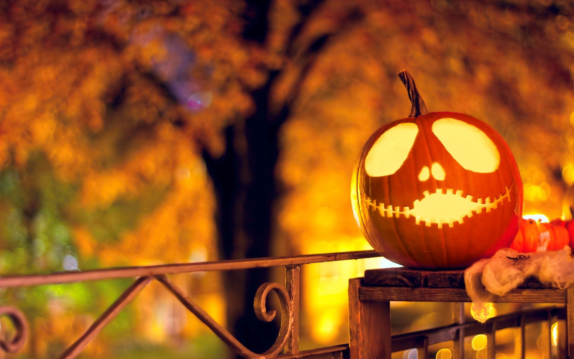 halloween sfocatura autunno oro lanterna luce