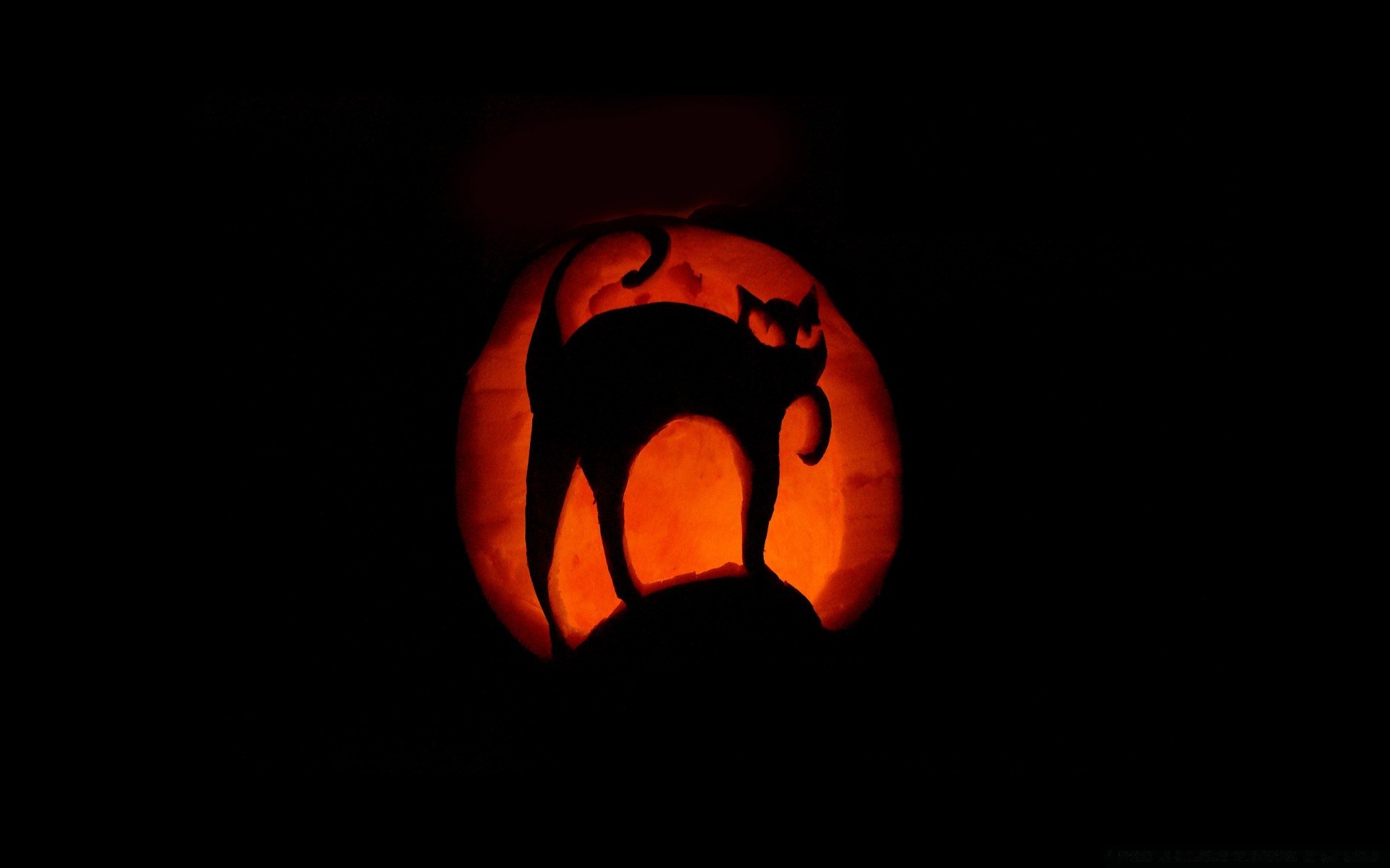 halloween calabaza llama luna oscuro escritorio vicioso espeluznante horror miedo