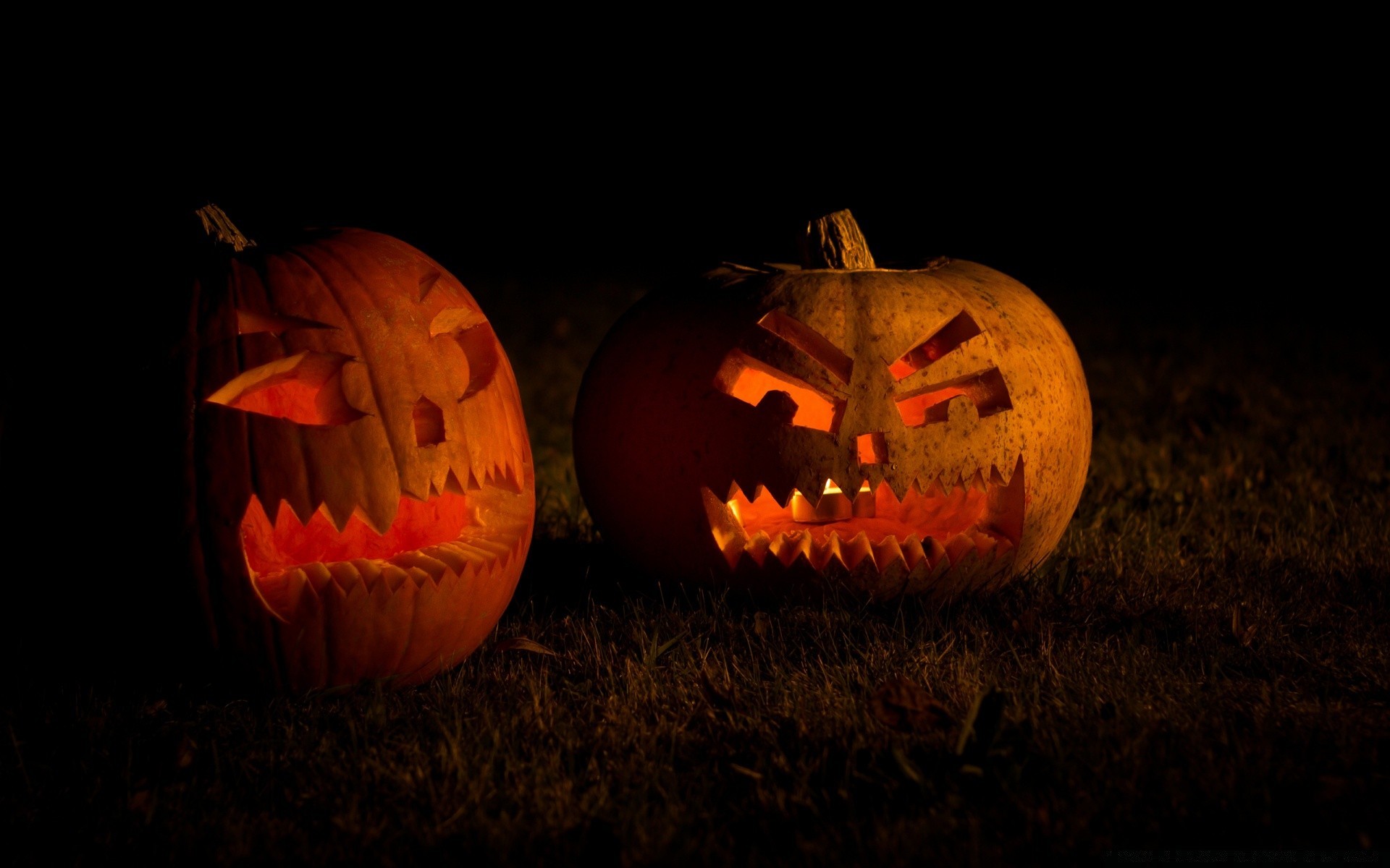 halloween kürbis horror gruselig laterne bösartig beängstigend gruselig kürbis gespenst gruselig angst herbst feilen kerze stillleben trick wachsen