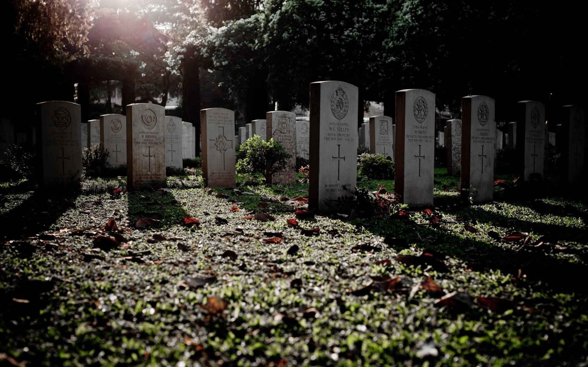 halloween cemetery grave tombstone burial funeral remembrance outdoors cemetary war casualty travel military grief