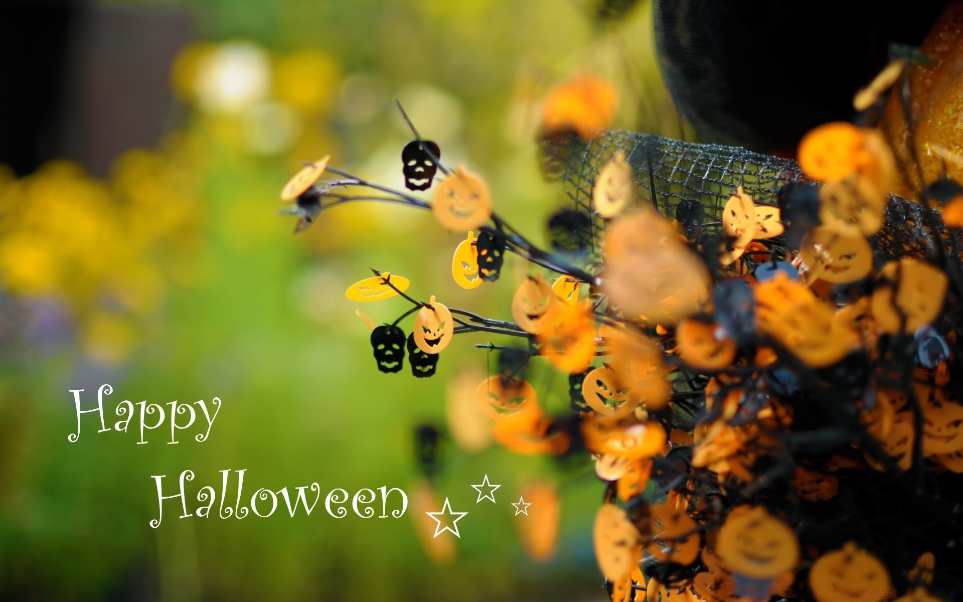 halloween nature insect outdoors summer leaf color flora garden wildlife desktop animal