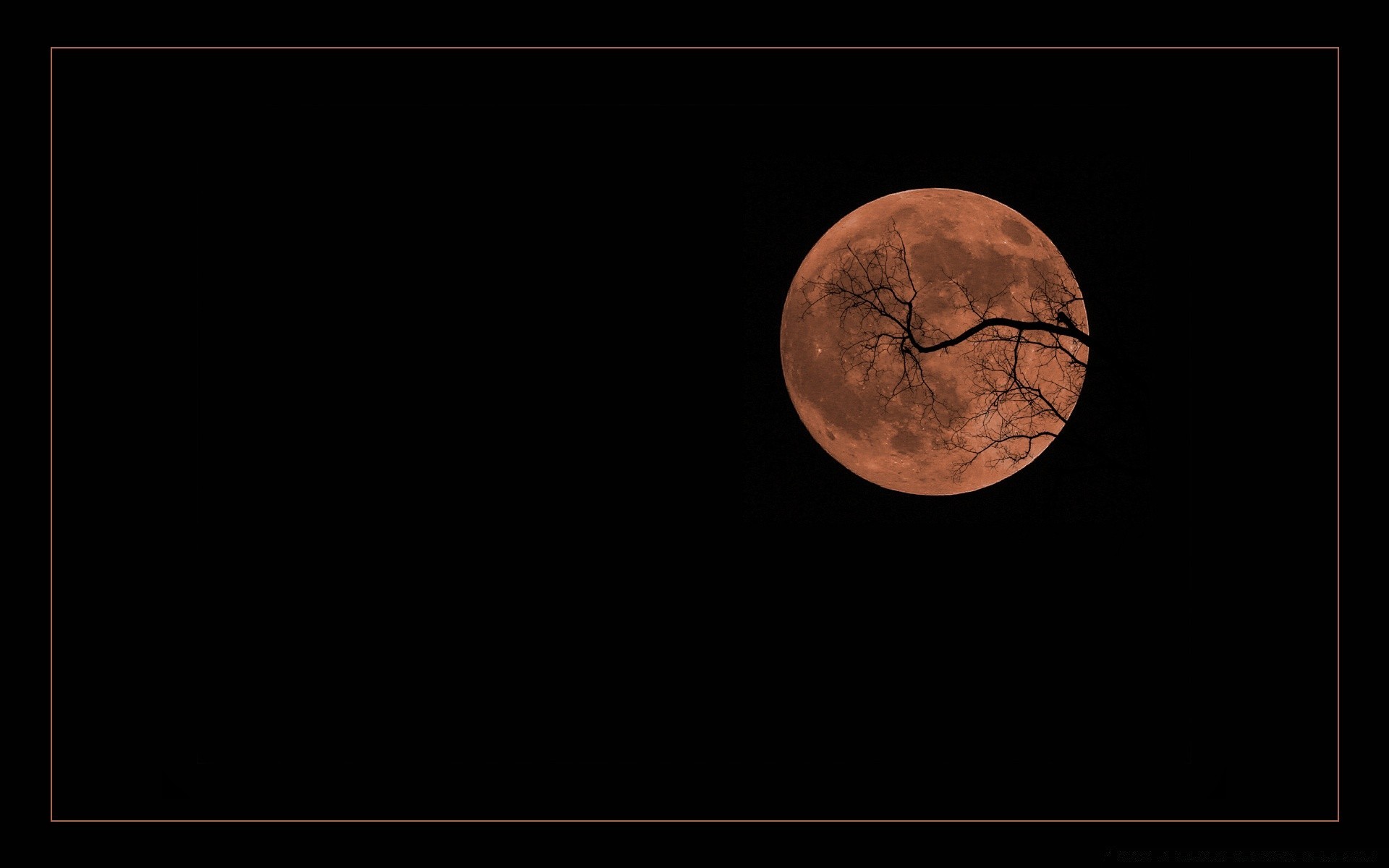 halloween luna lunare astronomia luna eclissi desktop scuro cratere pianeti telescopio luna piena mezzaluna satellite spazio spazio astrologia celeste sfera