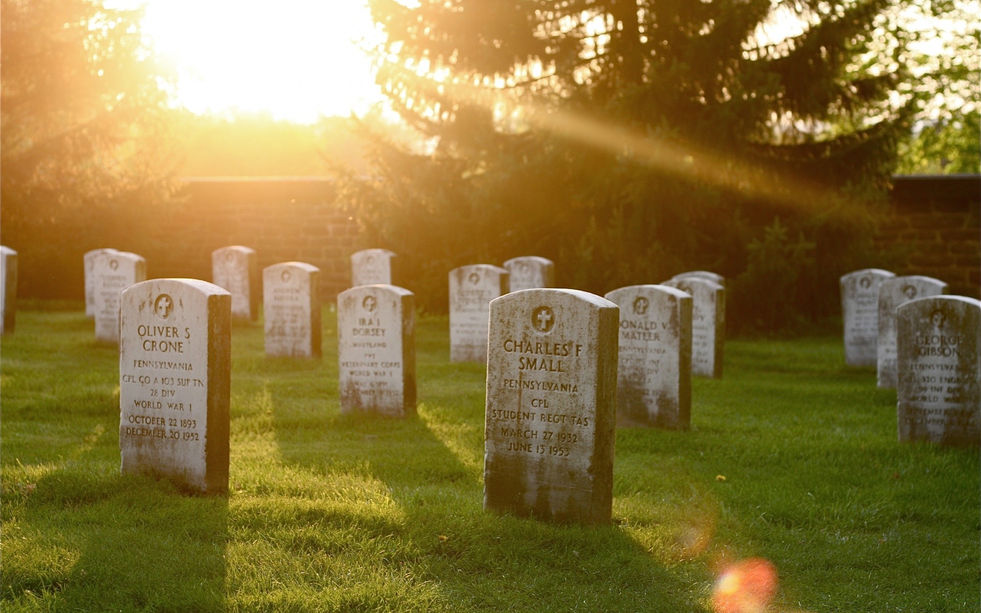 dia das bruxas cemitério sepultura lápide ao ar livre lápide guerra cemitério grama memória funeral sacrifício sol viagens religião militares