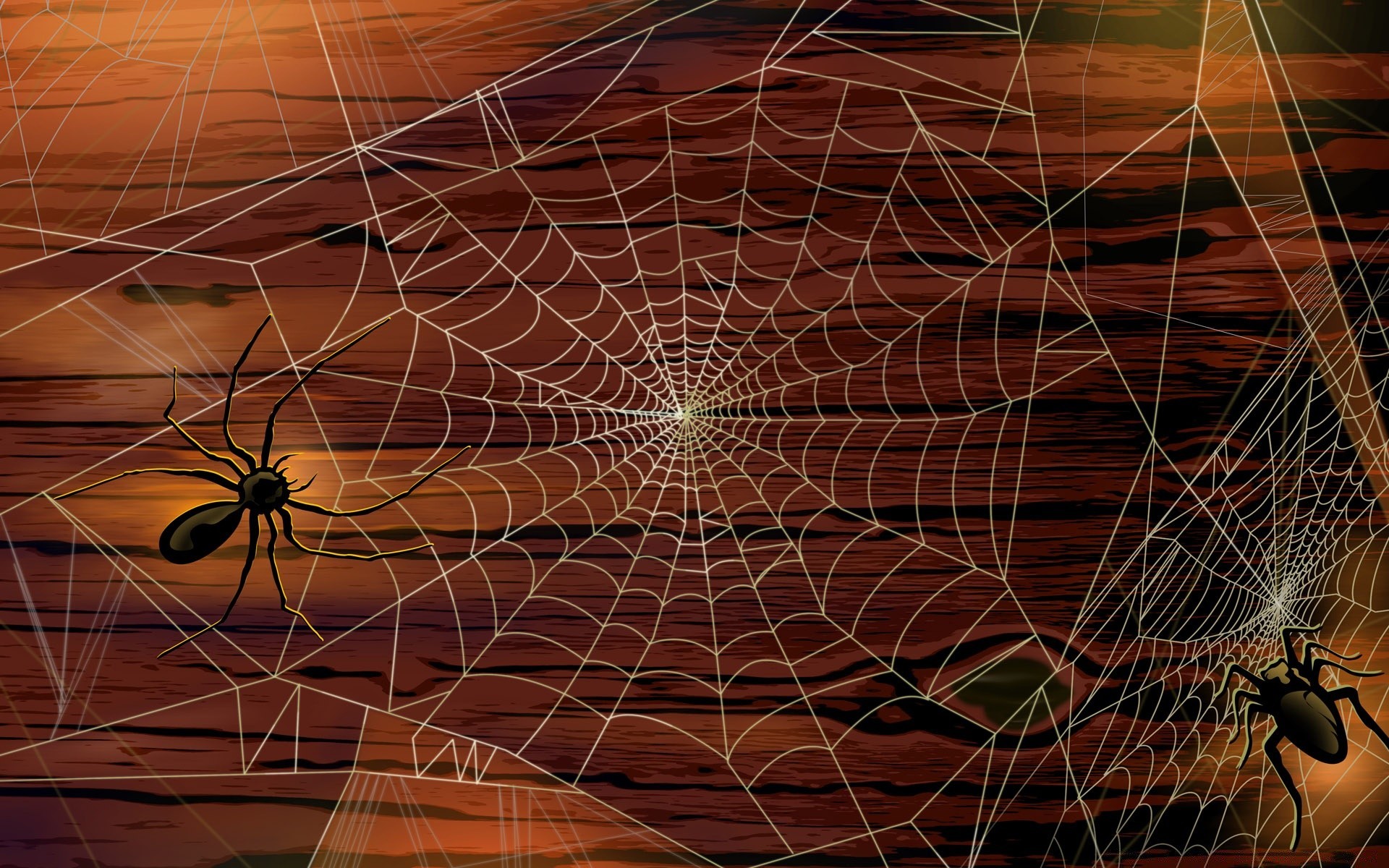 halloween abstract pattern desktop design spider