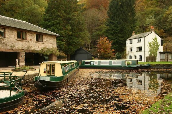 Boats on the water with foliage