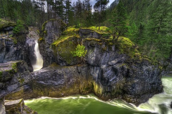 Paysage avec cascade naturelle et forêt