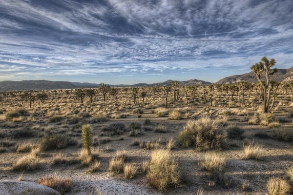 Natura. Deserto e bel cielo