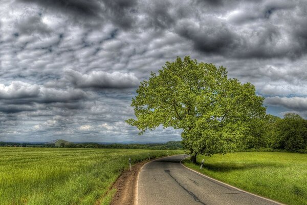 Paisagem do campo e da estrada que se afasta