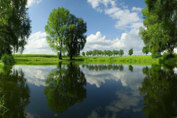 Paisagem com lagoas, rios e riachos