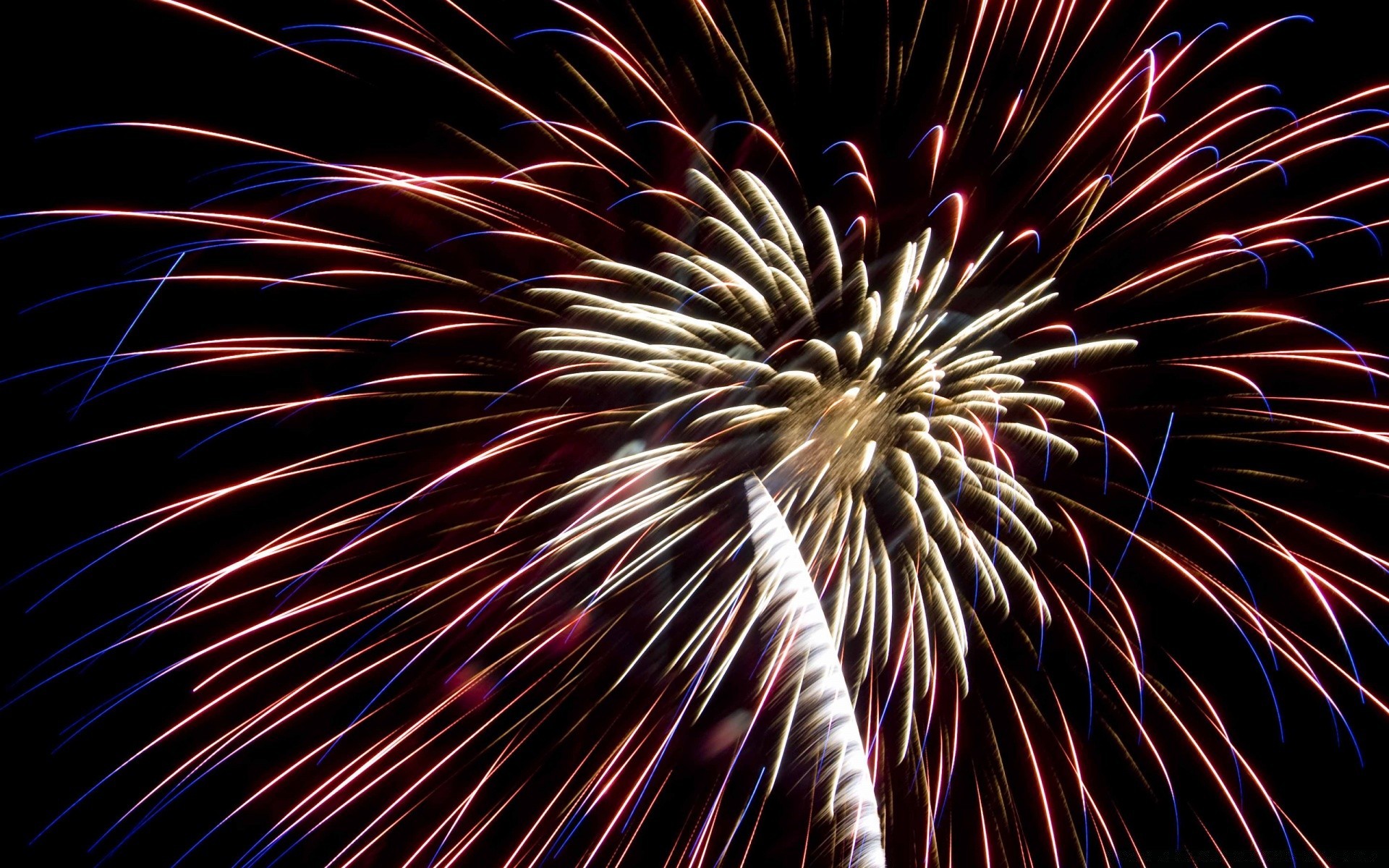 独立日 烟花 爆炸 火焰 节日 闪光 颜色 抽象 火箭 季度 节日 派对 明亮