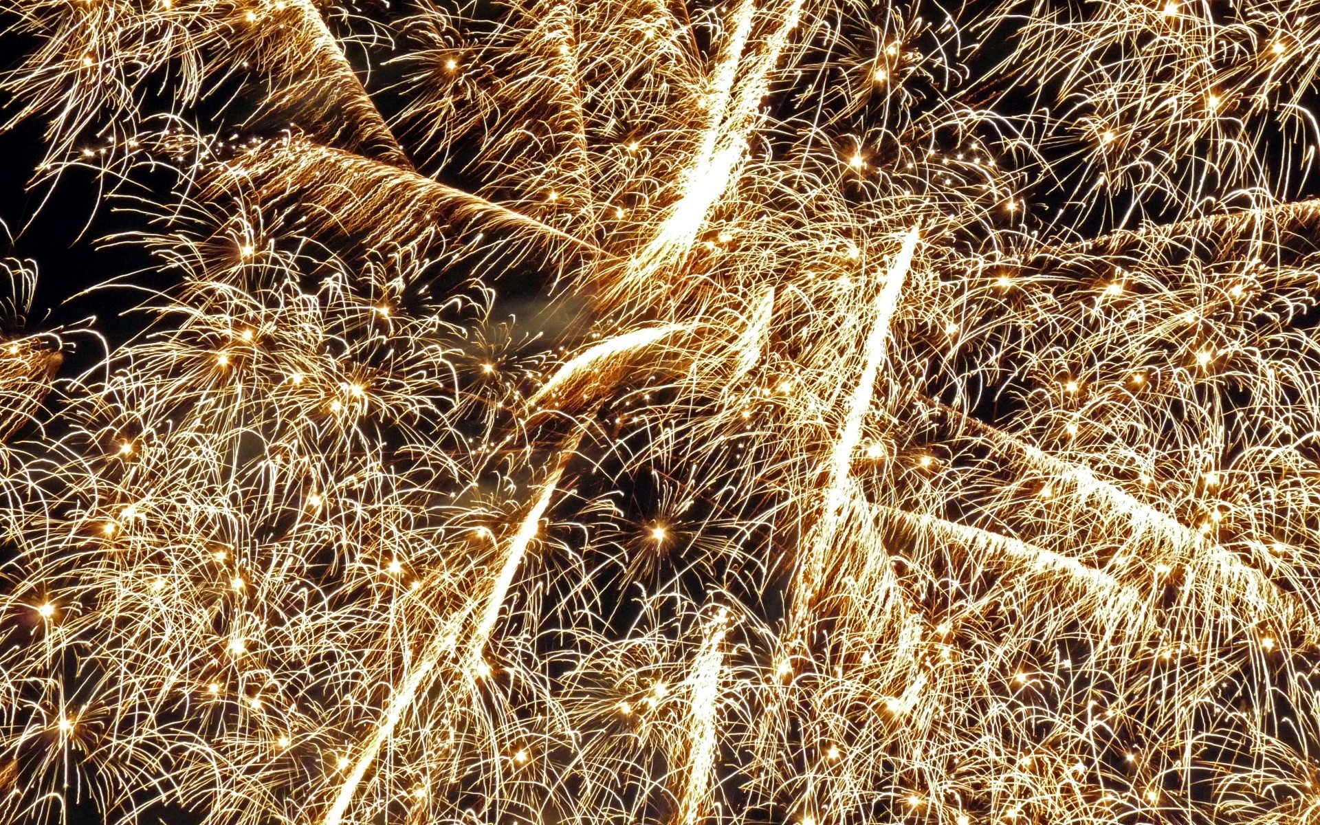 dia da independência ouro natureza seco palha desktop close-up cereais trigo flora crescimento colheita padrão