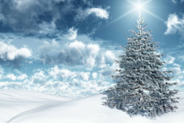 Beautiful Christmas tree with snow outdoors