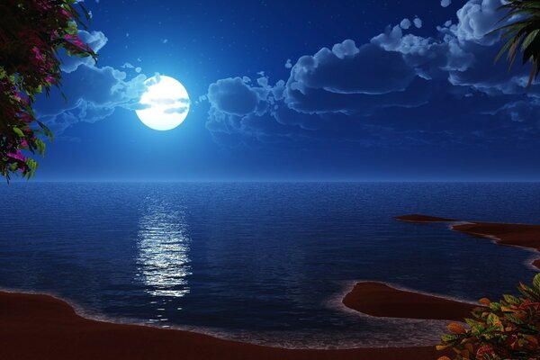 Night, Moon, Island